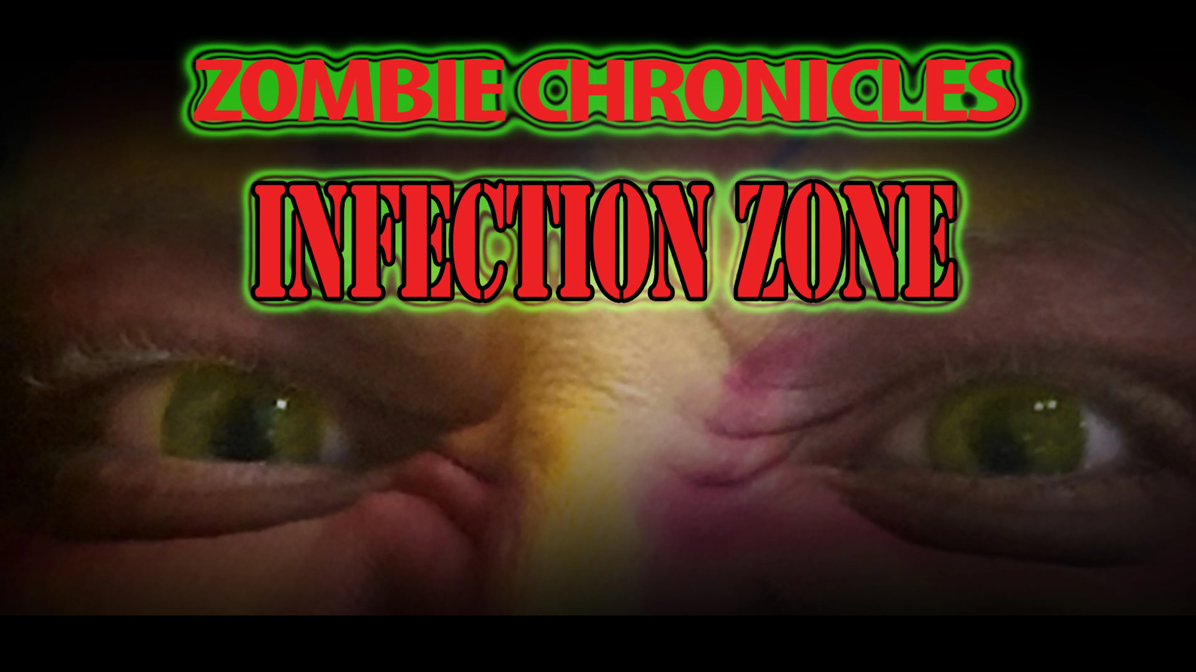 Zombie Chronicles: Infection Zone poster